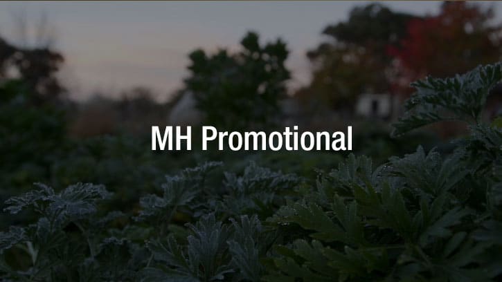MH Promotional